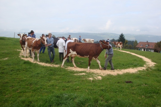 7d052ebfaeb2530dd688e81bd1aa3616.jpg