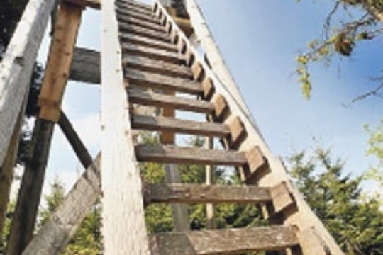 7d24c8a744e2f31fe9060765582bead7.jpg