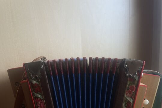 IMG_3150.jpeg