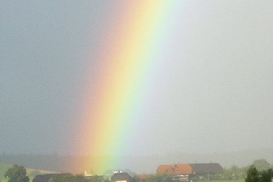 7ec27520248091a3288de5200a83eca5.jpg