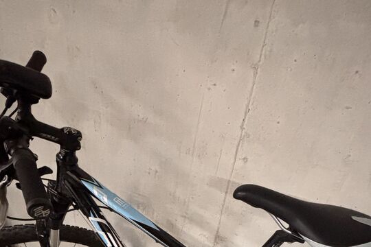 IMG_6607.jpeg