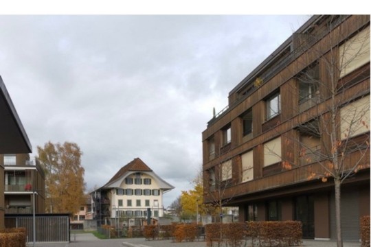 2023.03.25 Lorymatte.jpg