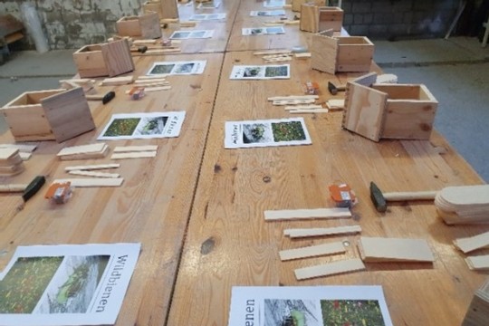 Wildbienen- und Insektenhotel bauen1.jpg