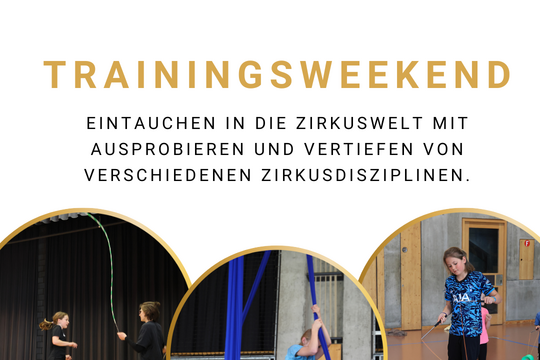 ZiPro Flyer Trainingsweekend 2025.png