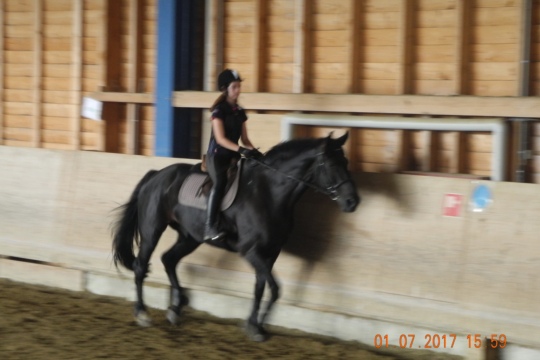 80e2751dbb80b3b949cca75e765130cb.jpg