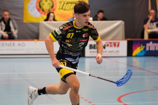 Fankhauser