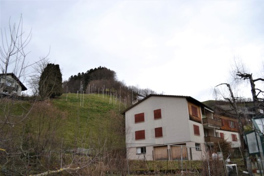 Walkringen Jan 24 Profile
