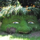 Profil Bild