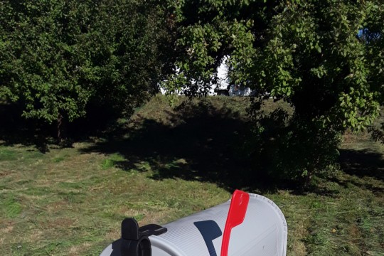 20200909_170422.jpg