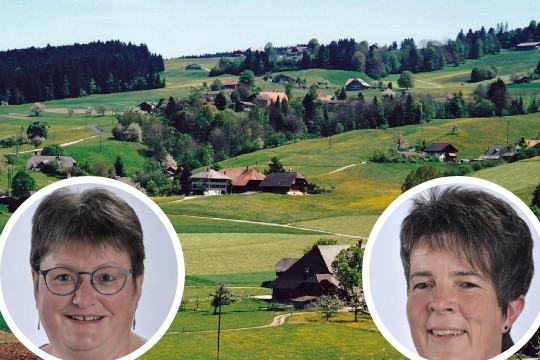Bowil Ruecktritte-High-Quality