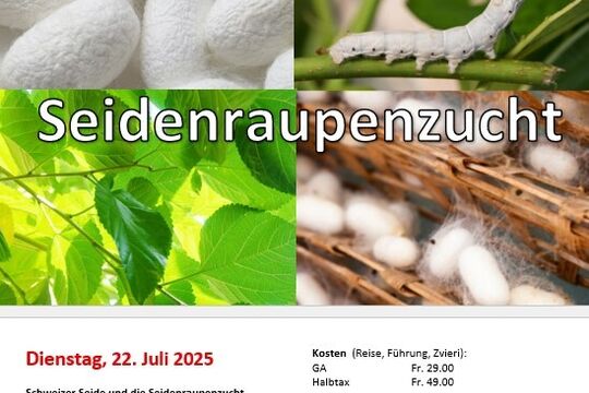 Seidenraupenzucht Besichtigung.jpg