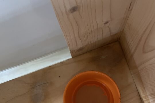 IMG_8816.jpeg