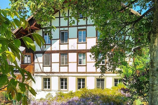 Mühle(1).jpg