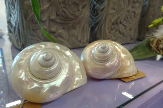 DSC04192