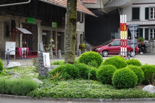 DSC04213