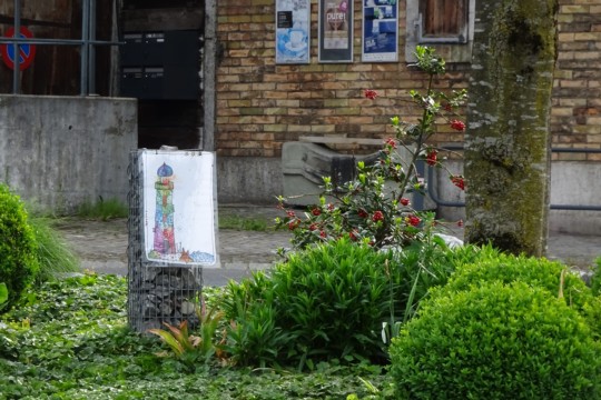 DSC04215