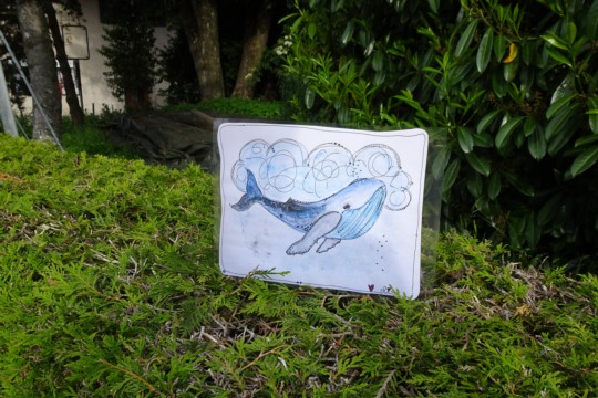 DSC04219