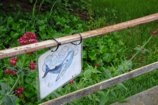 DSC04231