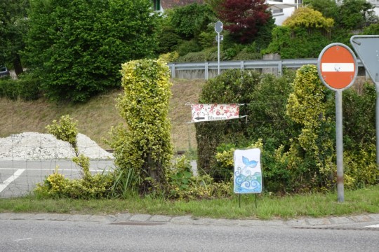 DSC04235