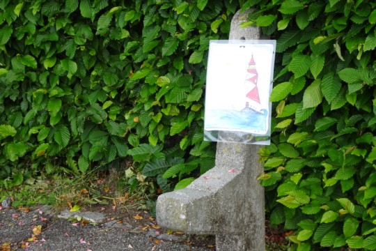 DSC04248