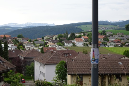 DSC04249
