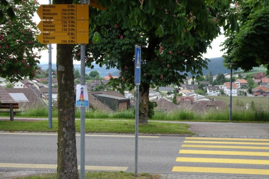 DSC04251