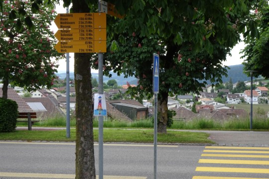 DSC04753