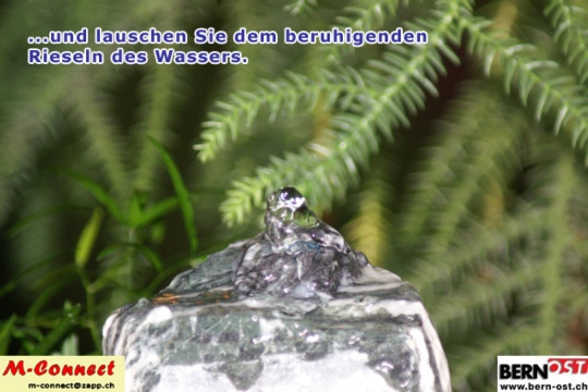 847cc0dd49fc5d6b05af6aff5ae3f4c9.jpg