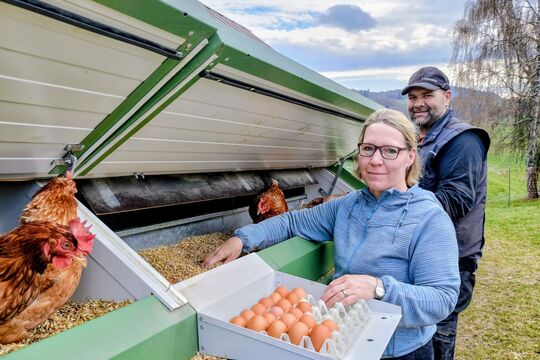 Bild Mobile H&auml;user f&uuml;r fr&ouml;hliche H&uuml;hner