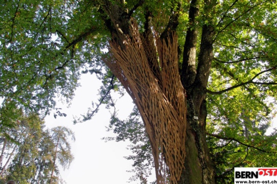 84fae4707c65af410861b63490c4d383.jpg