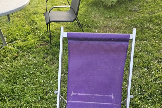 20260427_193202.jpg