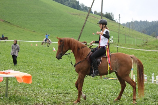 851cc07ec3a7d9ae2f30e29500a171b6.jpg
