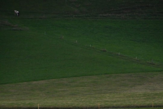 DSC_1909