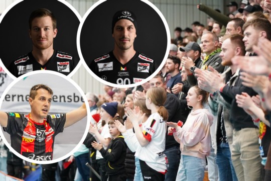 Tigers Stammspieler-High-Quality