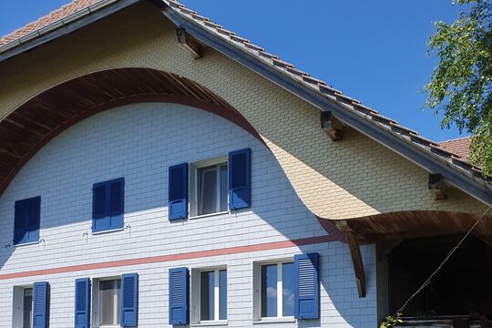 20250514_151904.jpg