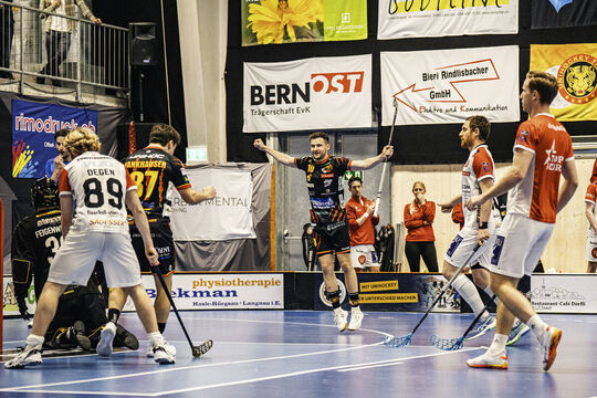 Bild Tigers lassen Basel keine Chance