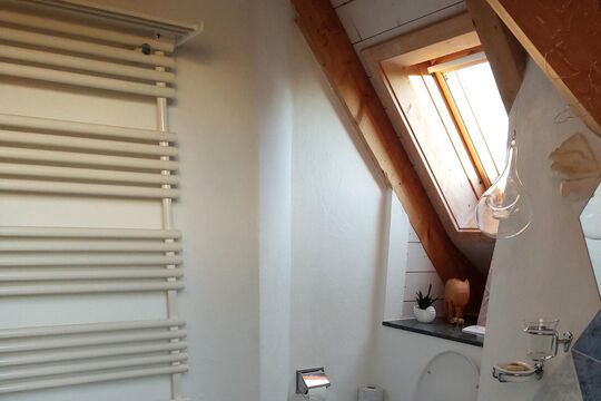 20250511_202754.jpg