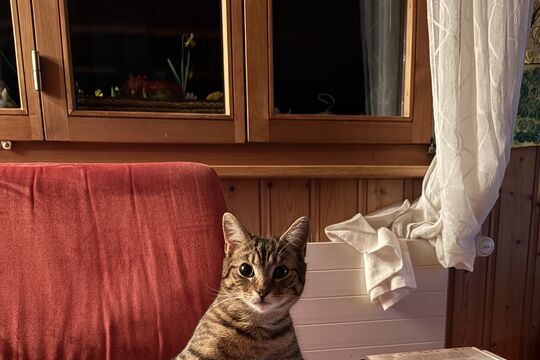 IMG_8505.jpeg