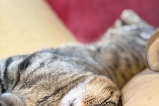 IMG_85131.jpeg