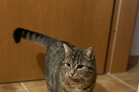 IMG_85651.jpeg