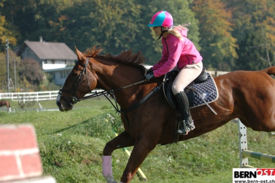 87825c7cc19797ff91a3399550c092c7.jpg