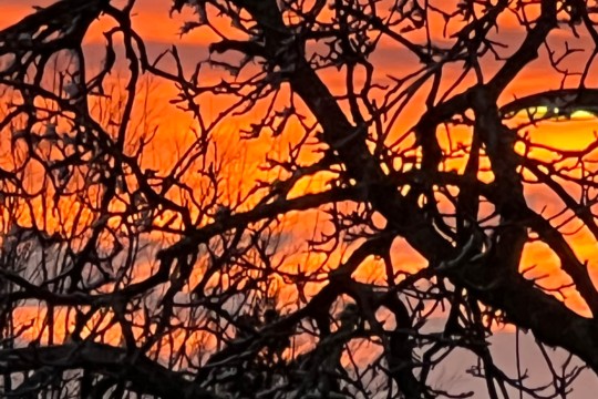 Bild Die Sache mit dem Hochnebel: Sehen Sie blauen Himmel?