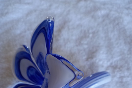 20231007_091738.jpg