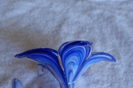 20231007_091750.jpg