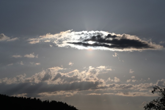 8878a3384e608c741e2a2f59e0f1b8f1.jpg