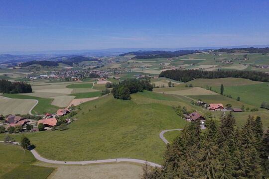 DJI_20260523120256_0012_D