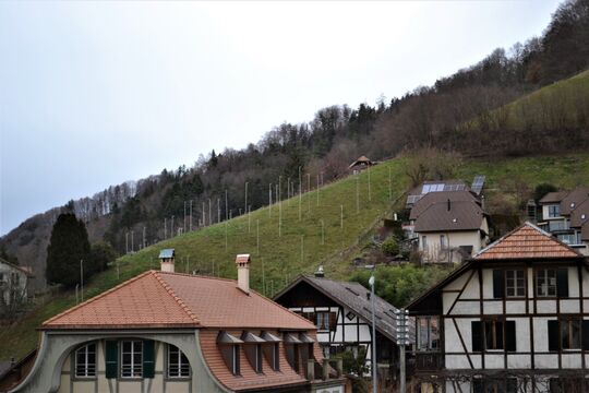 Schafrain Walkringen cw