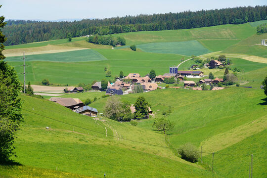 DSC04402