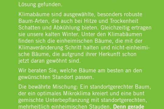 Klimabaum Spezial Flyer back.jpg