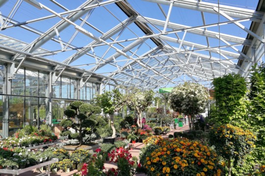 IMG_20180508_101820_klein.jpg